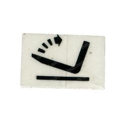 Picture of Insert Rectangular Lens