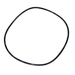 Picture of O-Ring