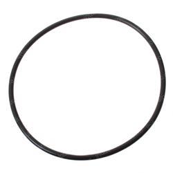Picture of O-Ring