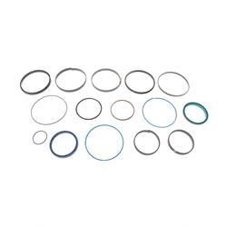 JLG 1001125160 - seal kit, without gland