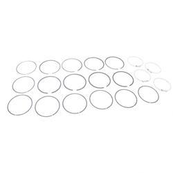 Picture of Ring Set - .020 (1 Cyl)