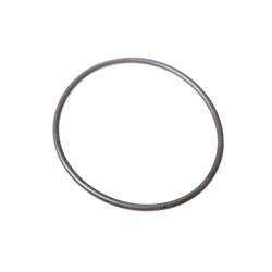 Picture of O-Ring