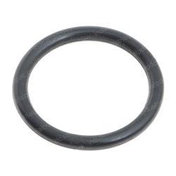 Picture of O-Ring