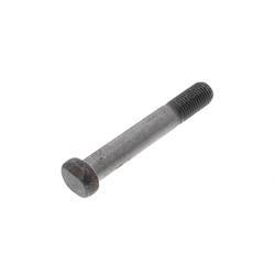 Picture of Bolt