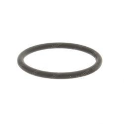 Picture of O-Ring