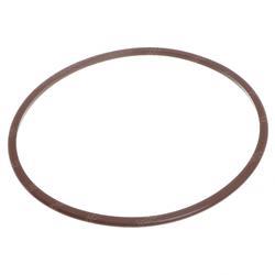 Picture of O-Ring