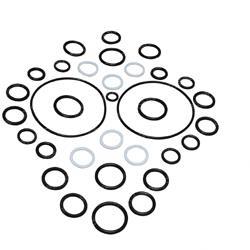 Picture of Seal Kit -  Cylinder Overhaul
