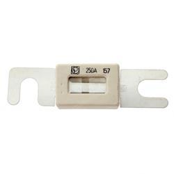 Picture of Fuse 250a