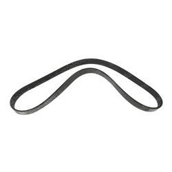 Picture of Belt