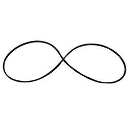 Picture of O-Ring