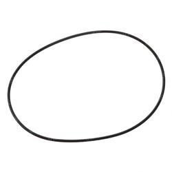 Picture of O - Ring