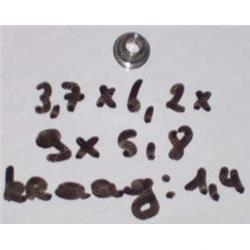 Picture of Guide - Spring