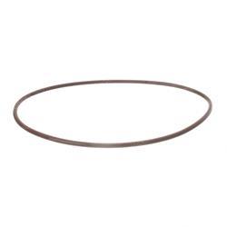 Picture of O-Ring