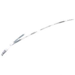 Picture of Rear Band