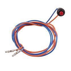 Picture of Switch and Wire Assembly