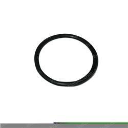 Picture of O-Ring