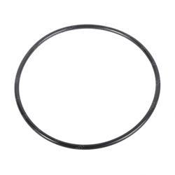 Picture of O-Ring