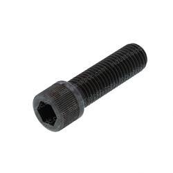 Picture of Bolt