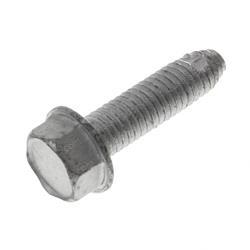 Picture of Bolt