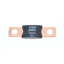 Picture of Fuse 300a