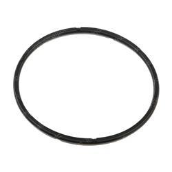 Picture of Seal