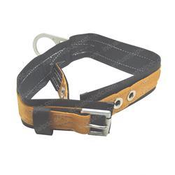 Picture of Belt - Safety Body S