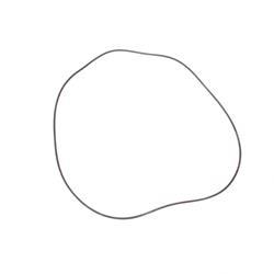 Picture of O-Ring