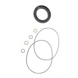 Picture of Seal Kit - Reducer Drive Turnta