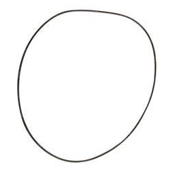 Picture of O-Ring