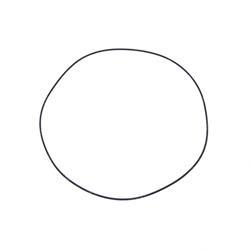 Picture of O-Ring