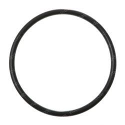 Picture of O-Ring