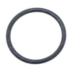 Picture of O-Ring