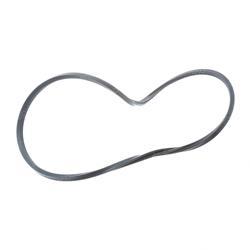 Picture of Seal - Special