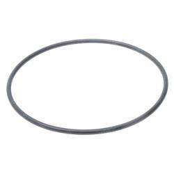 Picture of O-Ring