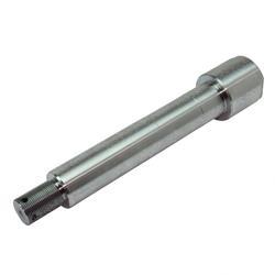 Picture of Bolt