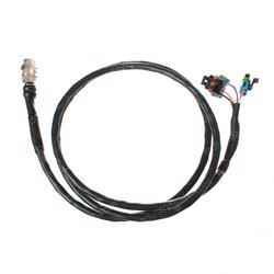 Picture of Harness
