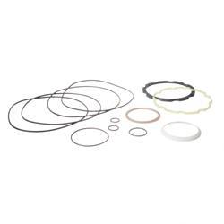 Picture of Seal Kit - Hydrostatic Motor