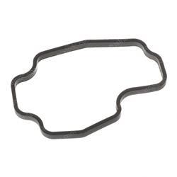 Picture of Gasket
