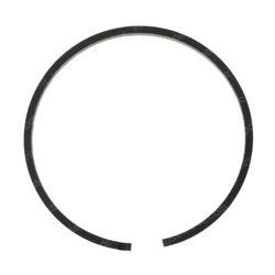 Picture of Ring Piston