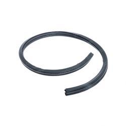 Picture of Weather Strip