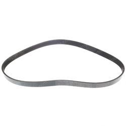 Picture of Belt - Serpentine