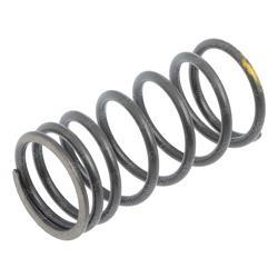 Picture of Spring - Valve Inner