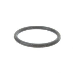 Picture of O-Ring