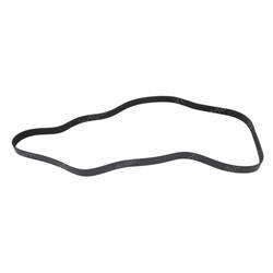 Picture of Belt - Serpentine