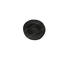 Picture of Plunger