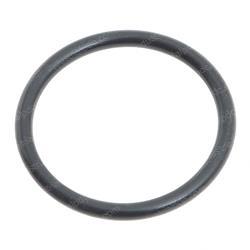 Picture of O-Ring