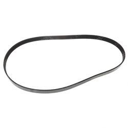 Picture of Belt - Serpentine