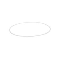 Picture of Ring - Backup