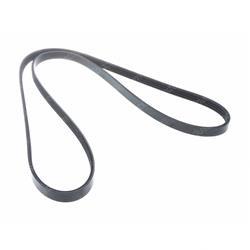 Picture of Belt - Serpentine