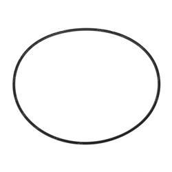 Picture of Seal